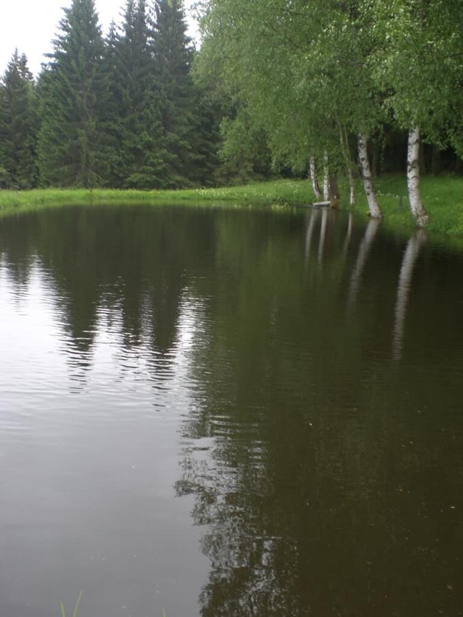 Bauernhofpension Runenhof Haidmühle Екстериор снимка